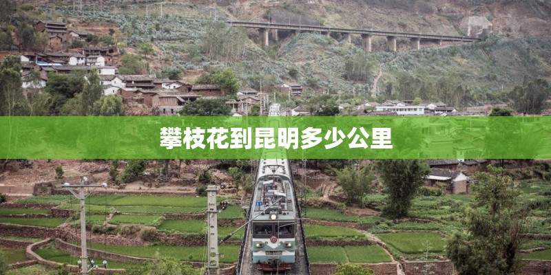 攀枝花到昆明多少公里