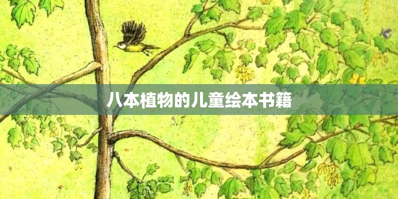八本植物的儿童绘本书籍