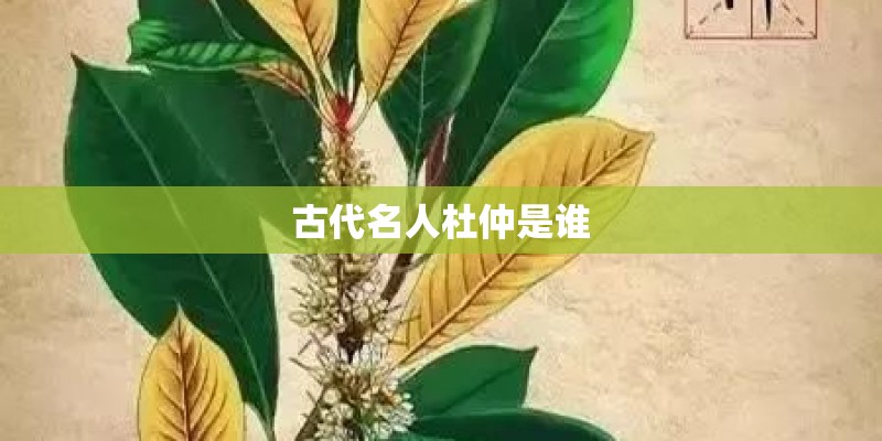 在农村承包山林种植油茶有前景吗？