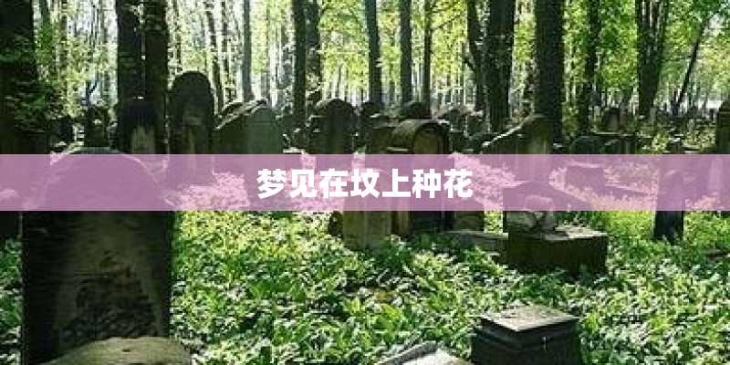 梦见在坟上种花