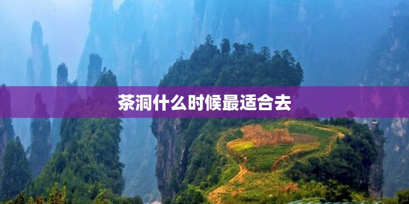 茶洞什么时候最适合去
