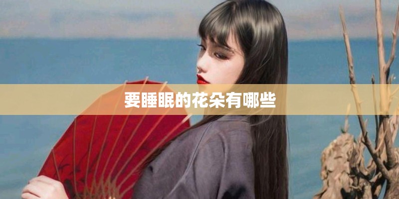 要睡眠的花朵有哪些