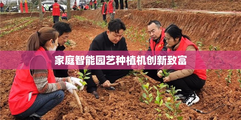 家庭智能园艺种植机创新致富 家庭智能园艺种植机创新致富