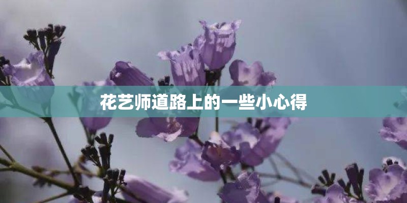 花艺师道路上的一些小心得 花艺师道路上的一些小心得