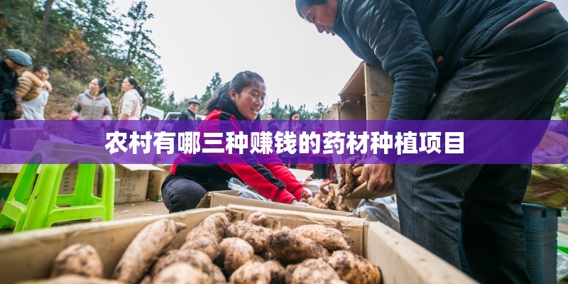 农村有哪三种赚钱的药材种植项目 农村有哪三种赚钱的药材种植项目