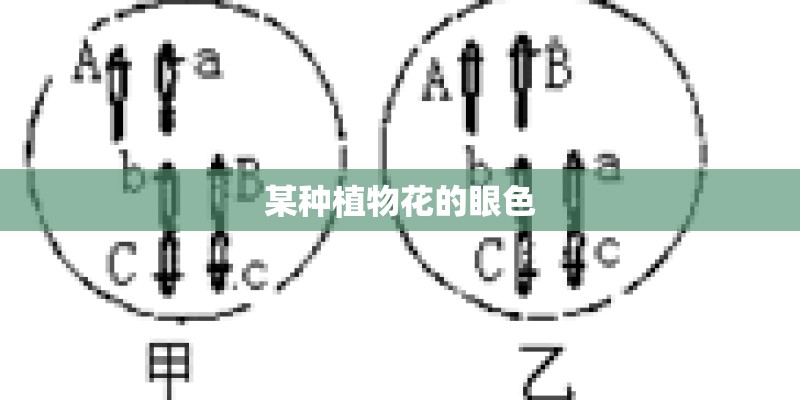 某种植物花的眼色