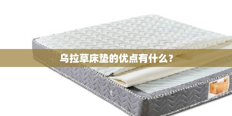 乌拉草床垫的优点有什么？
