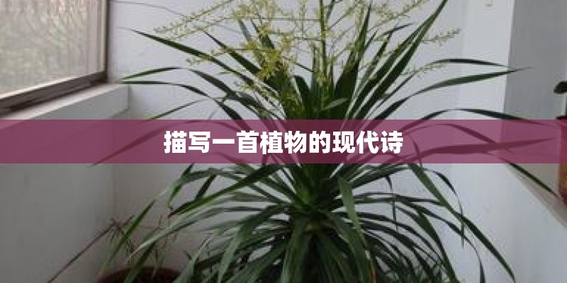 描写一首植物的现代诗 描写一首植物的现代诗
