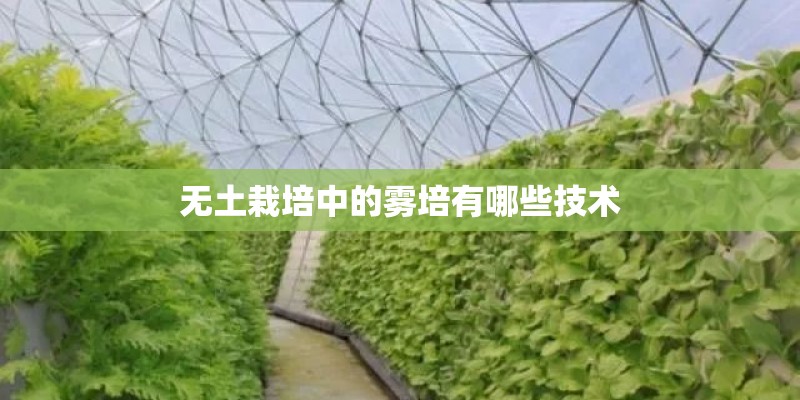 无土栽培中的雾培有哪些技术 无土栽培中的雾培有哪些技术