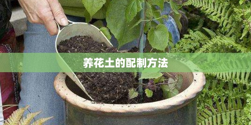 养花土的配制方法 养花土的配制方法
