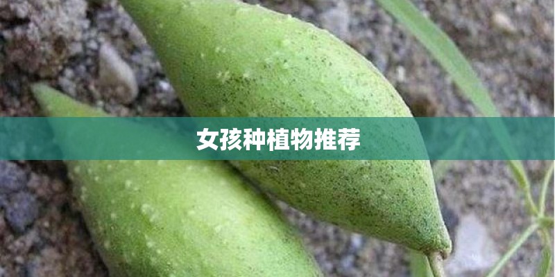 女孩种植物推荐 女孩种植物推荐