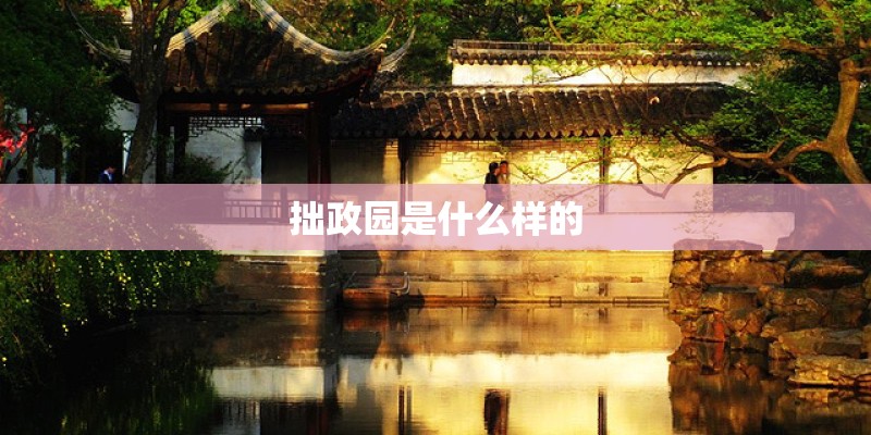 拙政园是什么样的