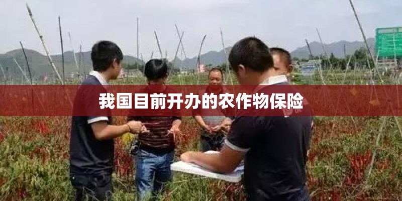 我国目前开办的农作物保险 我国目前开办的农作物保险