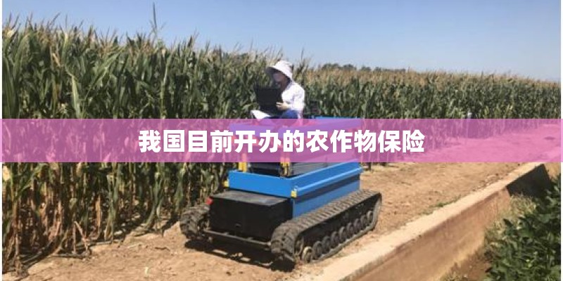 我国目前开办的农作物保险 我国目前开办的农作物保险