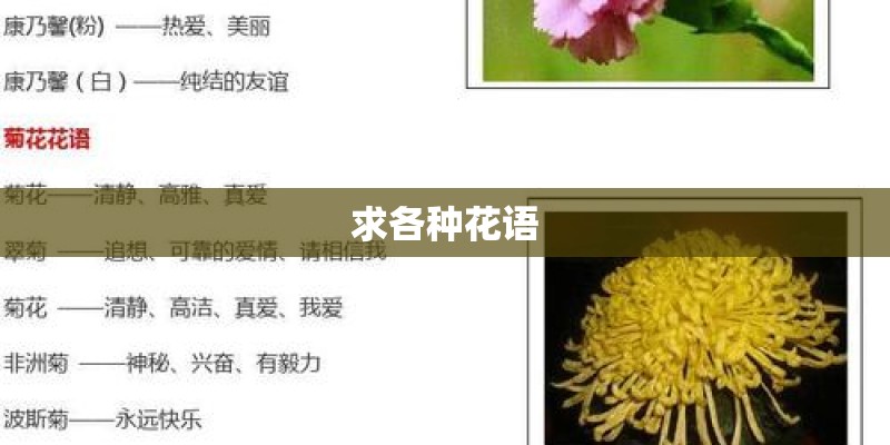 求各种花语 求各种花语