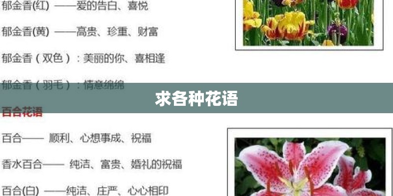 求各种花语 求各种花语