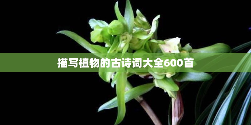 描写植物的古诗词大全600首