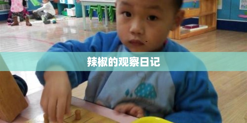 辣椒的观察日记 辣椒的观察日记