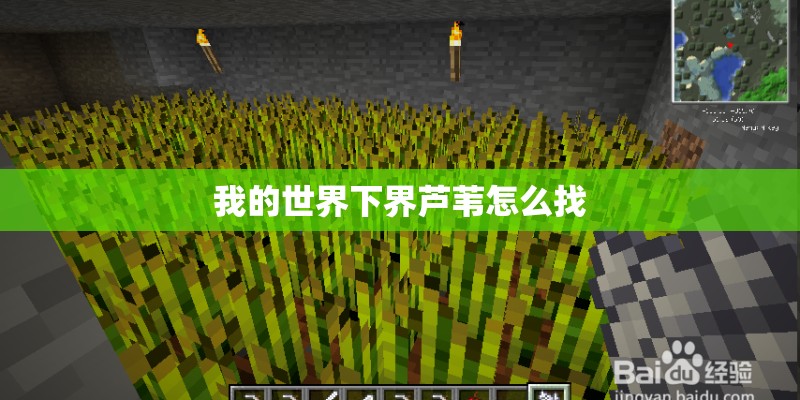 我的世界下界芦苇怎么找