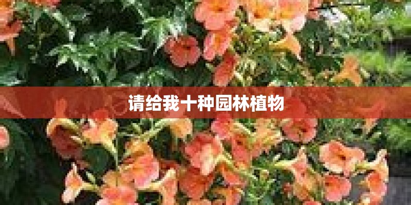 请给我十种园林植物