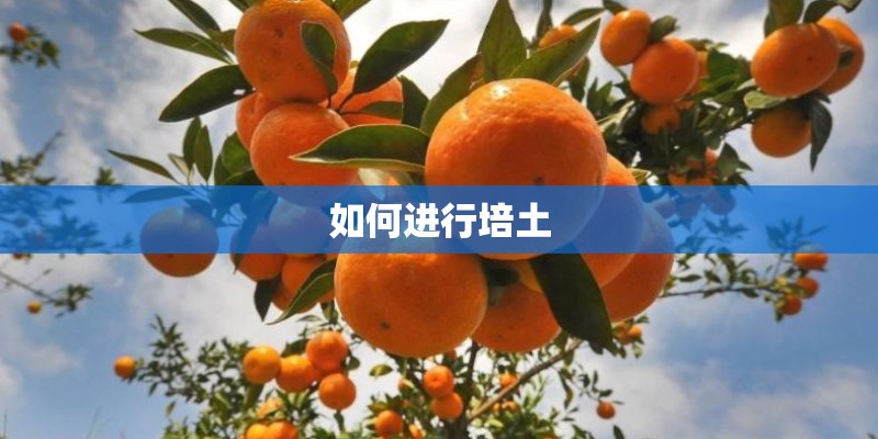 如何进行培土