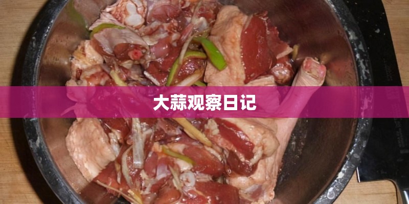 大蒜观察日记 大蒜观察日记