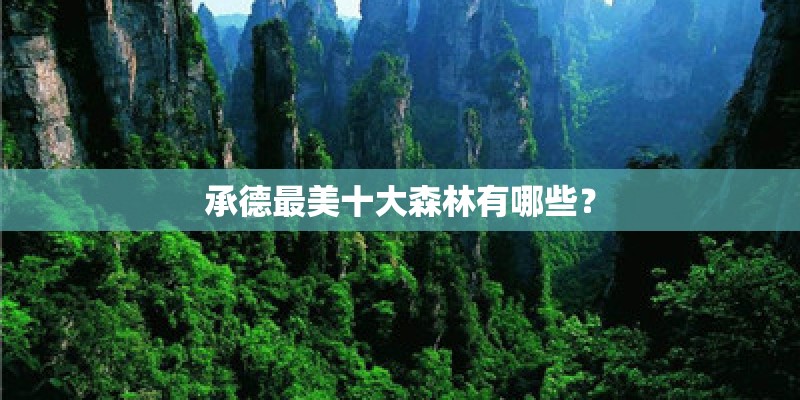 承德最美十大森林有哪些? 承德最美十大森林有哪些?
