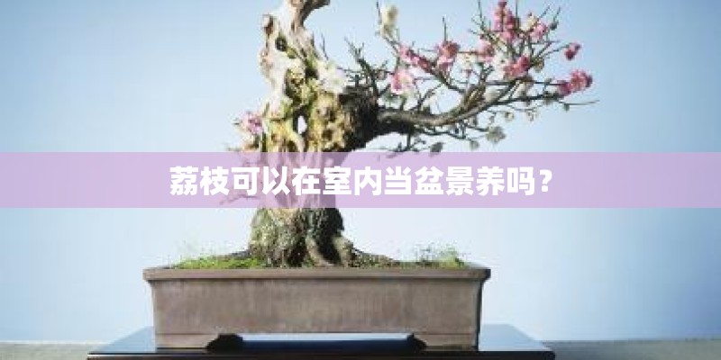 杭州五星级酒店都是有哪些? 杭州五星级酒店都是有哪些?