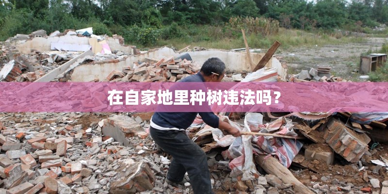 在自家地里种树违法吗? 在自家地里种树违法吗?