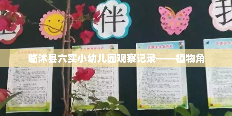 临沭县六实小幼儿园观察记录——植物角