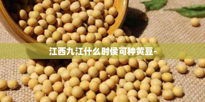 江西九江什么时侯可种黄豆-