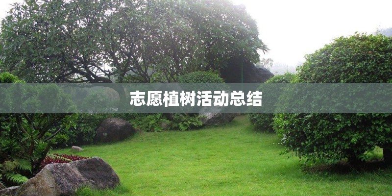 志愿植树活动总结