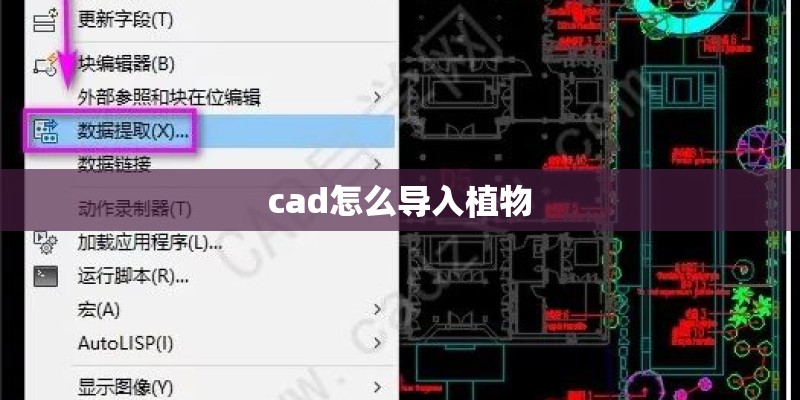 cad怎么导入植物