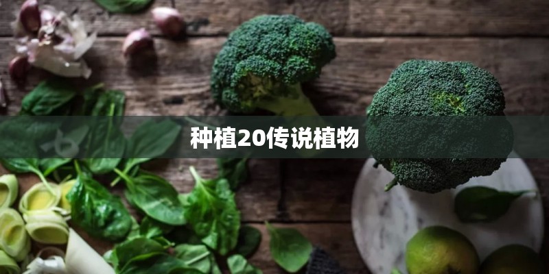 种植20传说植物 种植20传说植物