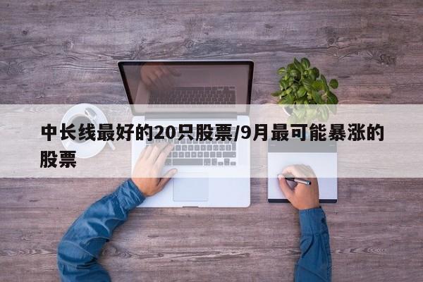 中长线最好的20只股票/9月最可能暴涨的股票