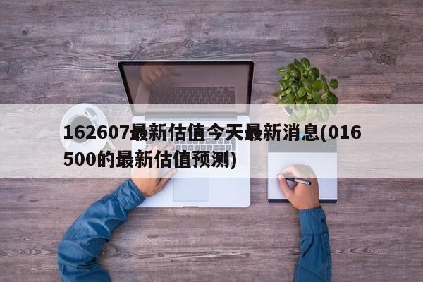 162607最新估值今天最新消息(016500的最新估值预测)