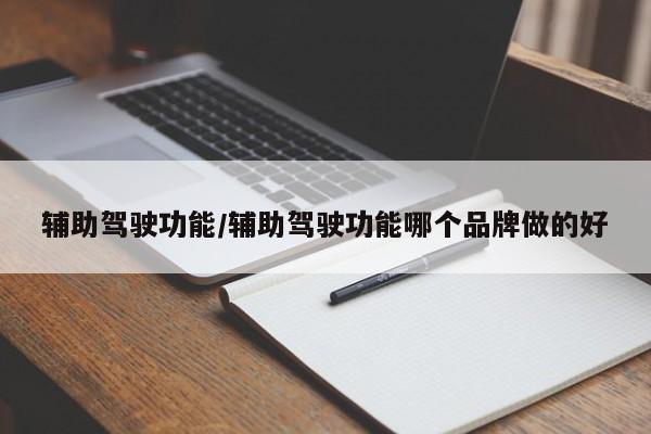 辅助驾驶功能/辅助驾驶功能哪个品牌做的好