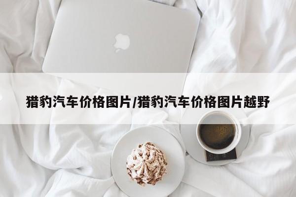 猎豹汽车价格图片/猎豹汽车价格图片越野