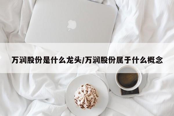 万润股份是什么龙头/万润股份属于什么概念