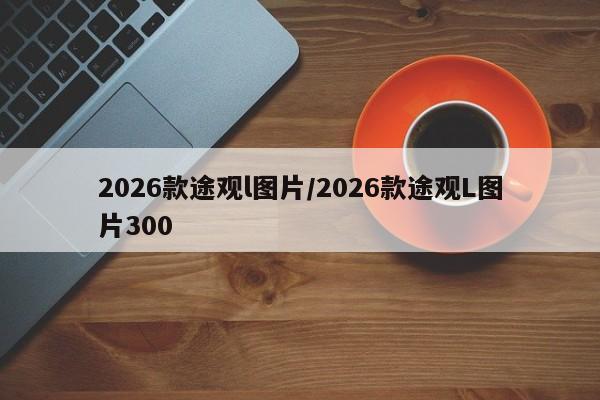 2026款途观l图片/2026款途观L图片300