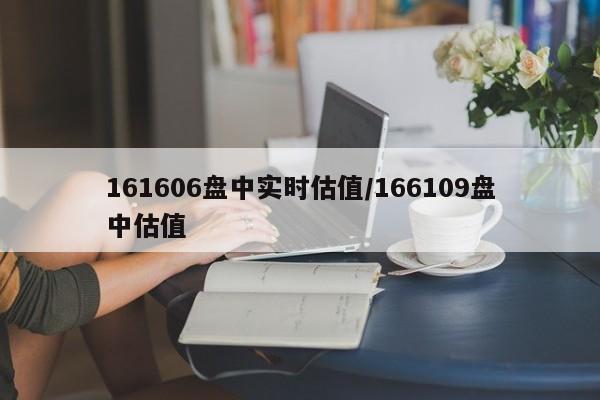 161606盘中实时估值/166109盘中估值