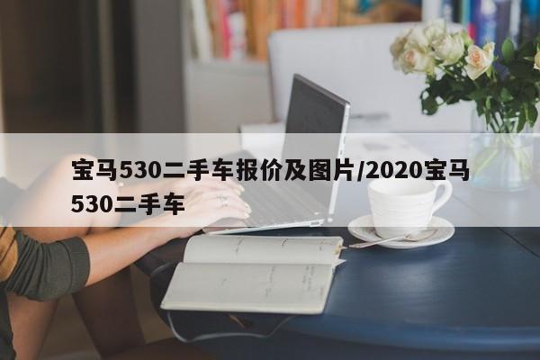 宝马530二手车报价及图片/2020宝马530二手车