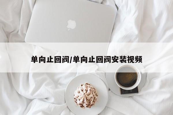 单向止回阀/单向止回阀安装视频