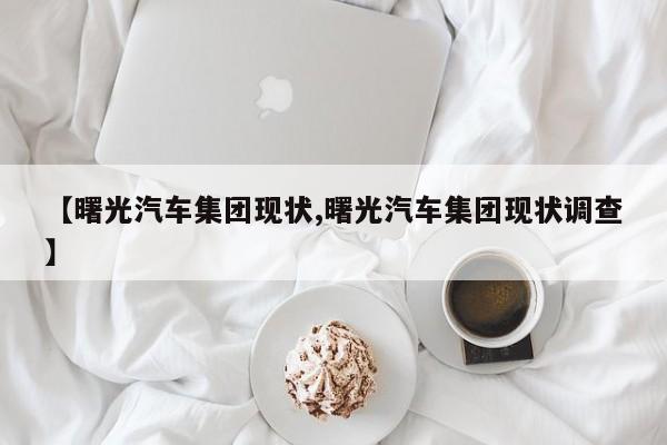 【曙光汽车集团现状,曙光汽车集团现状调查】