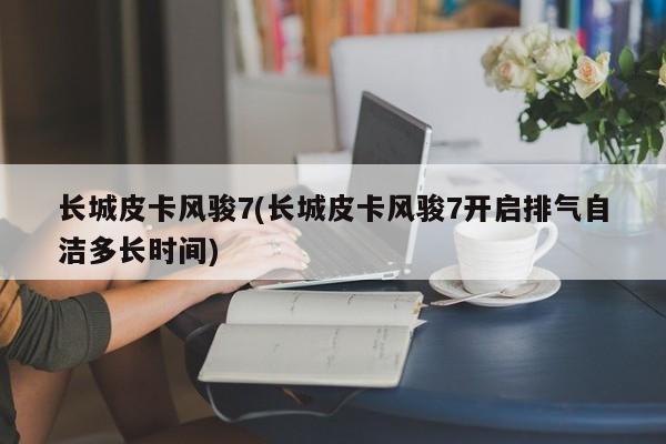 长城皮卡风骏7(长城皮卡风骏7开启排气自洁多长时间)