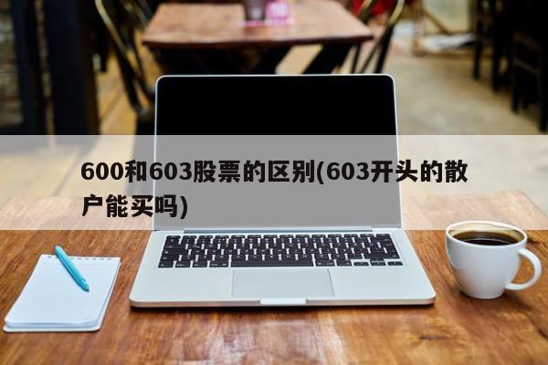 600和603股票的区别(603开头的散户能买吗)