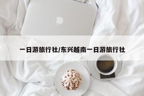 一日游旅行社/东兴越南一日游旅行社